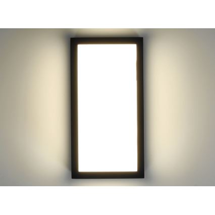 LED ulkoseinävalaisin ENTERA LED/10W/230V 4000K IP54