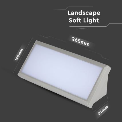 LED ulkoseinävalaisin LED/12W/230V 4000K IP65 harmaa