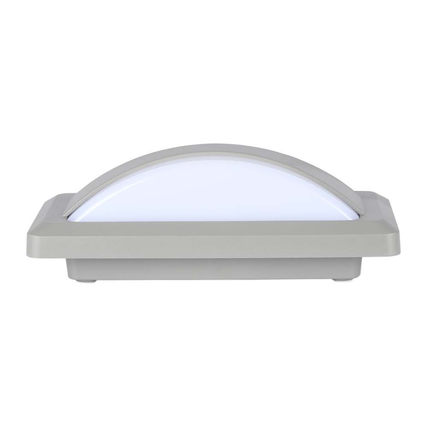 LED Ulkoseinävalaisin LED/12W/230V 6400K IP65