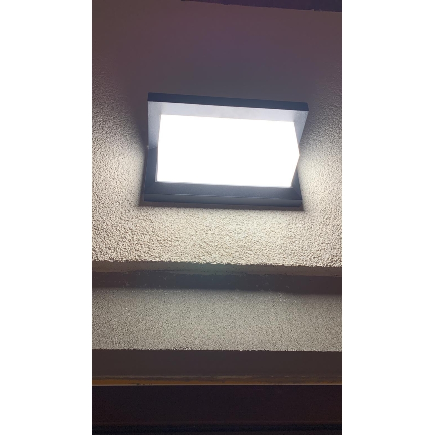 LED Ulkoseinävalaisin LED/12W/230V IP54 musta