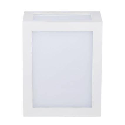LED-ulkoseinävalaisin LED/12W/230V IP65 4000K valkoinen