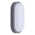 LED-ulkoseinävalaisin LED/20W/230V 4000K IP54 harmaa soikea