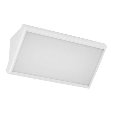 LED-ulkoseinävalaisin LED/20W/230V 4000K IP65 valkoinen