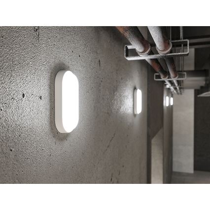 LED-ulkoseinävalaisin LED/6W/230V IP54 valkoinen