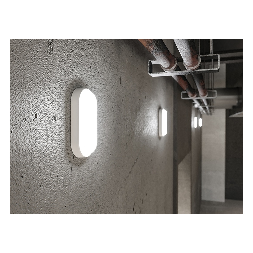 LED-ulkoseinävalaisin LED/6W/230V IP54 valkoinen