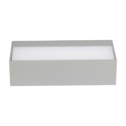 LED Ulkoseinävalaisin LED/9W/230V 6500K IP65