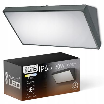 LED-ulkovalaisin liiketunnistimella LED/20W/230V IP65 harmaa