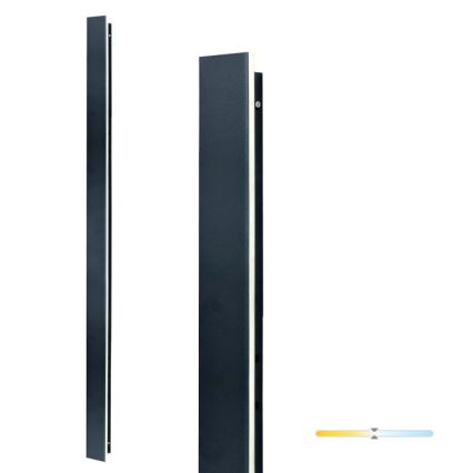 LED-ulkoseinävalaisin MIRANA LED/25W/230V 4000K IP44 120 cm musta