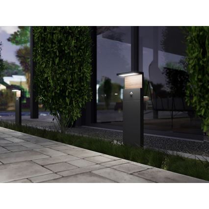 LED-ulkovalaisin anturilla NATURA LED/12W/230V 4000K IP54 ruskea/antrasiitti