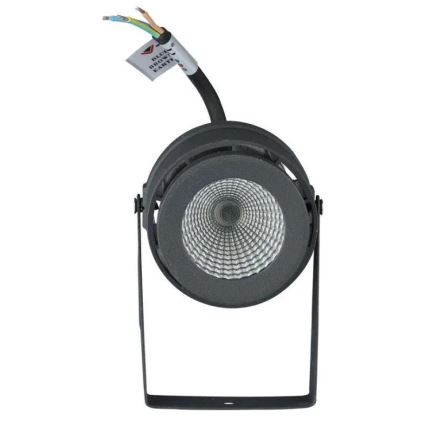LED Ulkovalaisin LED/12W/230V 4000K antrasiitti IP65