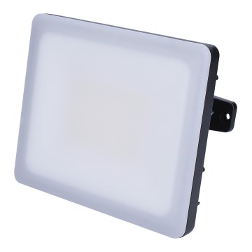 LED Ulkovalaisin LED/30W/230V 4000K IP65