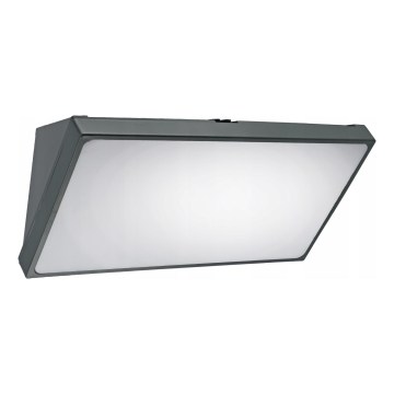 LED-ulkovalaisin liiketunnistimella LED/20W/230V IP65 harmaa