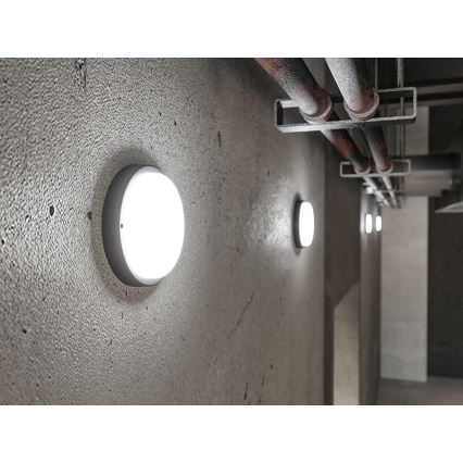 LED-ulkovalaisin seinälle LED/9W/230V IP54 musta