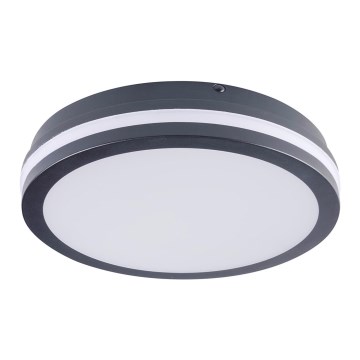 LED-ulkovalo BENO LED/24W/230V IP54 antrasiitti
