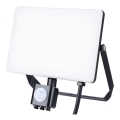 LED-ulkovalonheitin anturilla LED/50W/230V 5000K IP44