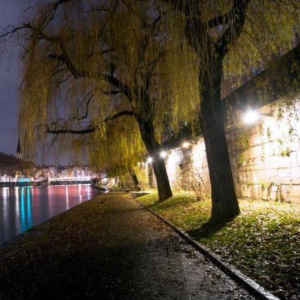 LED-ulkovalonheitin LED/50W/230V 4000K 6500 lm IP65 IK06