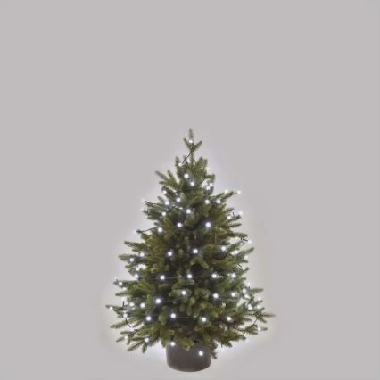 LED-ulkovalosarja 80 LED, 8 toimintoa, 13 m, kylmänvalkoinen, IP44