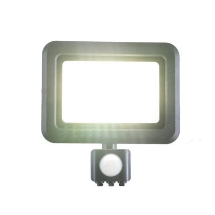LED-valonheitin anturilla LED/30W/230V 4000K IP44
