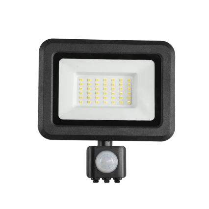 LED-valonheitin anturilla LED/30W/230V 4000K IP44