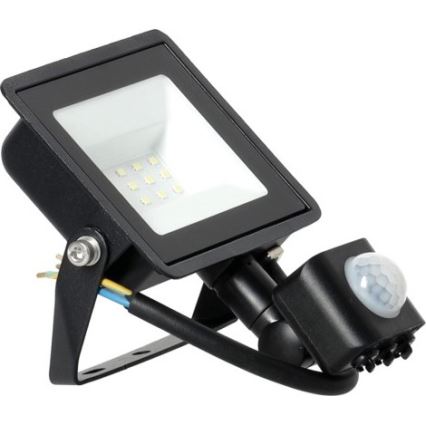 LED-valonheitin anturilla LED/30W/230V 6500K IP44