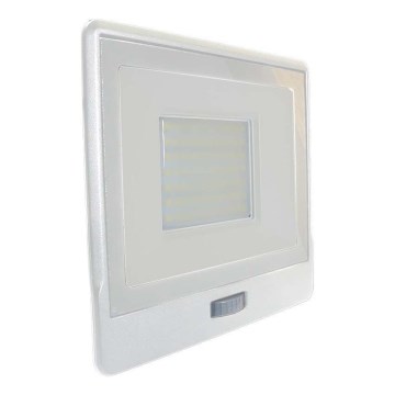 LED-valonheitin anturilla LED/50W/230V 4000K IP65 valkoinen