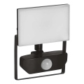 LED-valonheitin anturilla TAMBO LED/10W/230V 4000K IP54