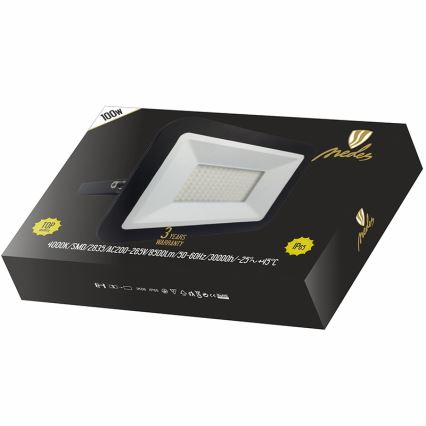 LED-valonheitin LED/100W/230V IP65