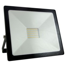 LED-valonheitin LED/30W/230V IP65