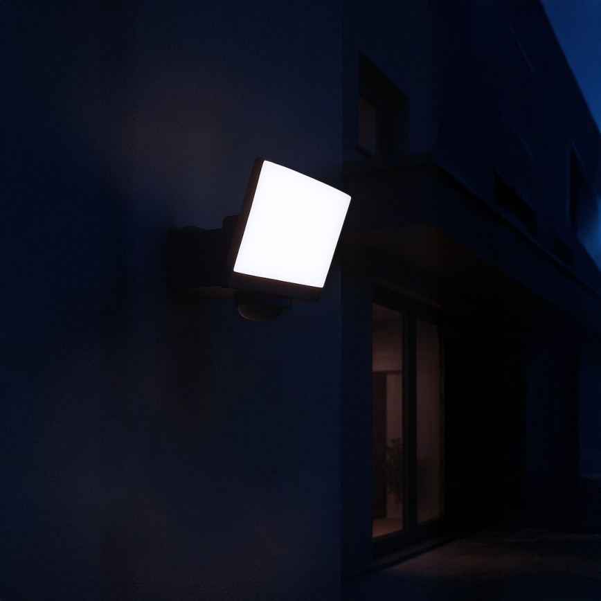 LED-valonheitin liike- ja hämäräanturilla DAVOS LED/30W/230V IP54 musta