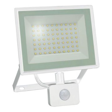 LED-valonheitin liiketunnistimella NOCTIS LUX 3 LED/50W/230V 4000K IP44 valkoinen
