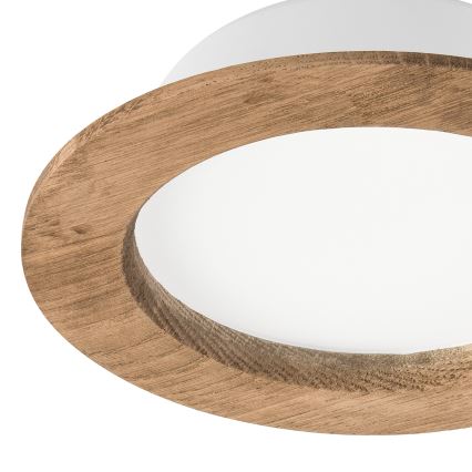 LED Kattovalaisin WOODY SPOT LED/12,5W/230V 3000K pähkinä Ø 16 cm