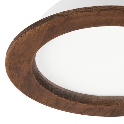 LED Kattovalaisin WOODY SPOT LED/16,5W/230V 4000K kirsikka ? 18,5 cm