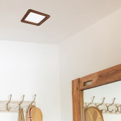 LED-kattovalaisin WOODY SPOT LED/17W/230V 3000K kirsikka 18,5x18,5 cm