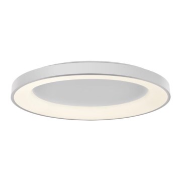 LED2 - LED Himmennettävä kattovalo BELLA LED/80W/230V 3000K/4000K valkoinen