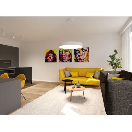 LED2 - LED-kattokruunu narussa MONO LED / 60W / 230V 3000 / 4000K valkoinen