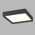 LED2 - LED-kattovalaisin MILO LED / 30W / 230V musta 3000 / 4000K