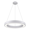 LED2 - LED Riippuvalaisin SATURN LED/50W/230V 3000K d. 60 cm valkoinen