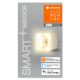 Ledvance - LED Himmennettävä älykäs pistorasia valolla SMART+ PLUG 3680W Wi-Fi