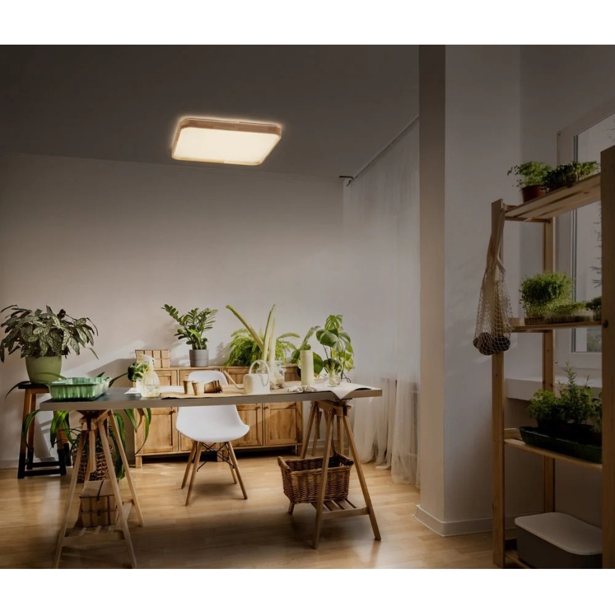 Ledvance - LED-himmennettävä kattovalaisin ORBIS LED/16W/230V 3000K 29x29 cm