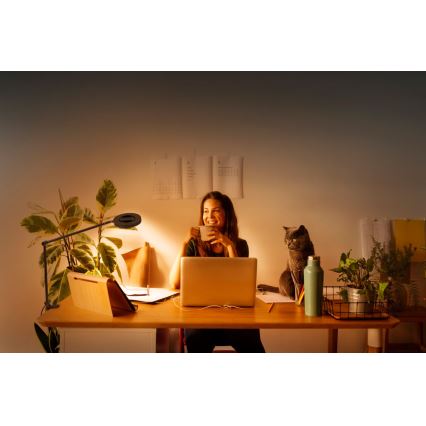 Ledvance - LED-himmennyslamppu pidikkeellä SUN@HOME LED/15W/230V 2200-5000K CRI 95 Wi-Fi