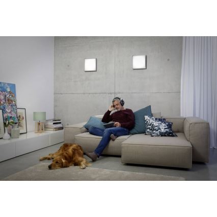 Ledvance - LED-kattovalaisin LUNIVE LED/14W/230V