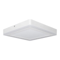 Ledvance - LED-kattovalaisin SQUARE LED / 18W / 230V