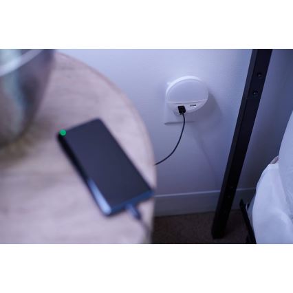 Ledvance - LED-pistorasiaan liitettävä yövalo anturilla LUNETTA 2xUSB LED/13W/230V