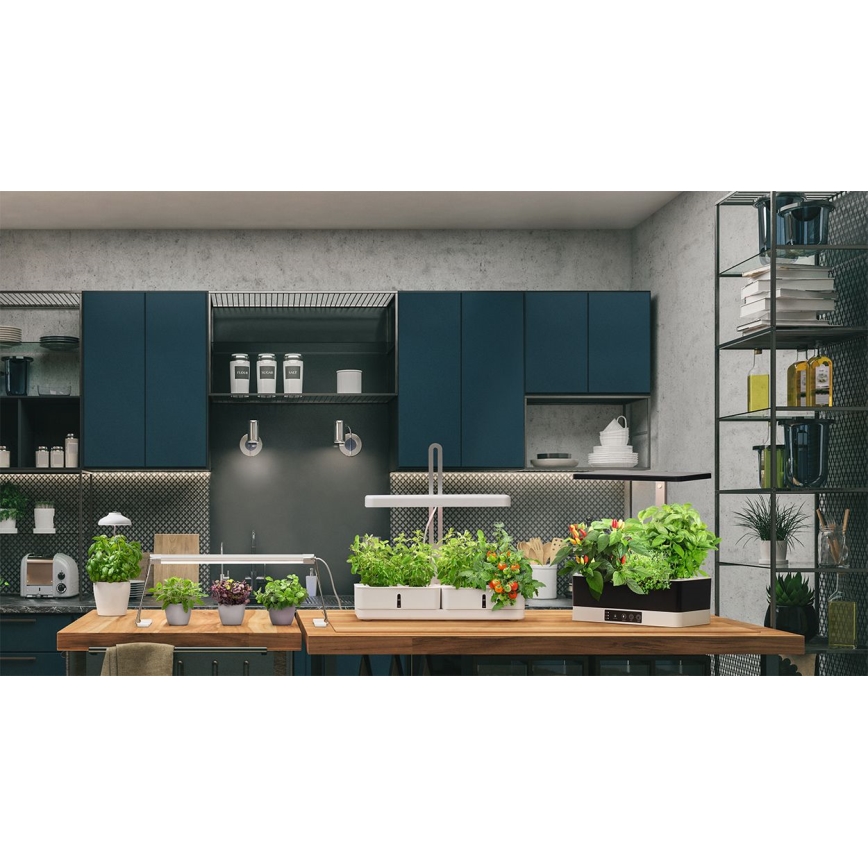LLedvance - LED sisätila kasvivalaisin GARDEN KIT LED/24W/230V