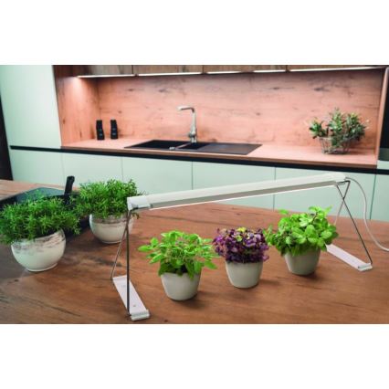 Ledvance - LED sisätilojen kasvivalaisin GARDEN LIGHT LED/14W/230V