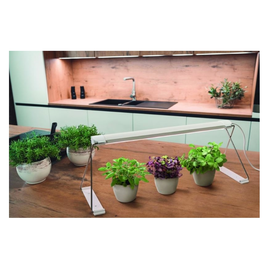 Ledvance - LED sisätilojen kasvivalaisin GARDEN LIGHT LED/14W/230V