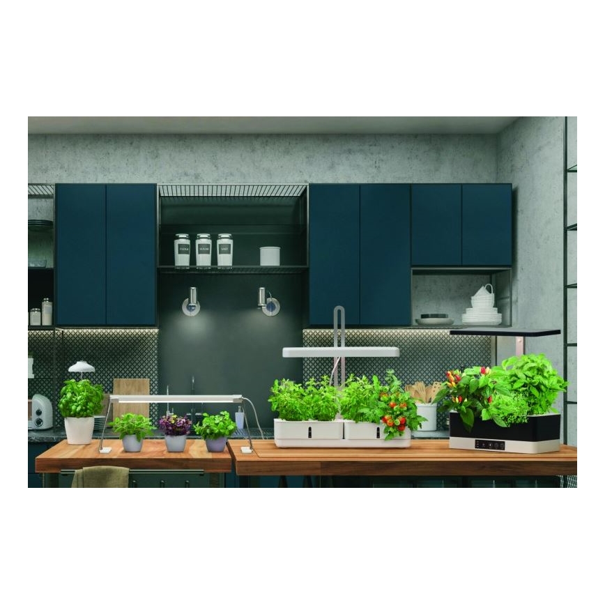 Ledvance - LED sisätilojen kasvivalaisin GARDEN LIGHT LED/14W/230V