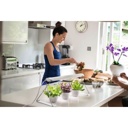 Ledvance - LED sisätilojen kasvivalaisin GARDEN LIGHT LED/14W/230V