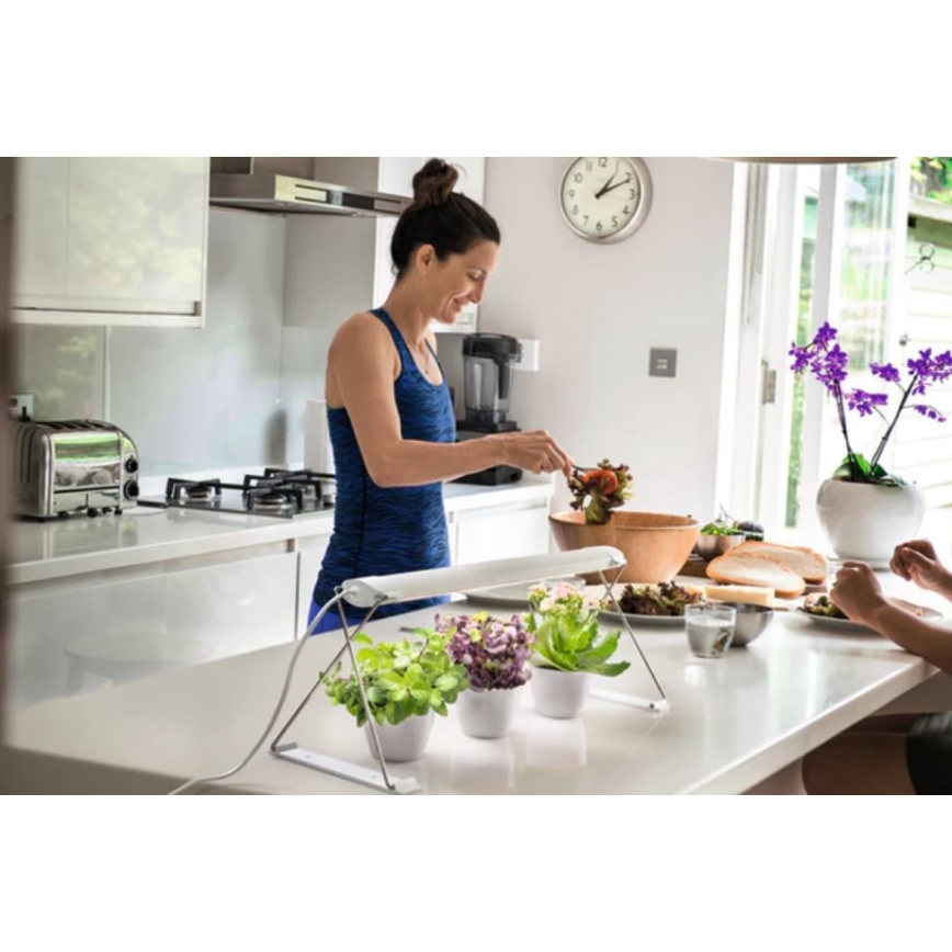 Ledvance - LED sisätilojen kasvivalaisin GARDEN LIGHT LED/14W/230V