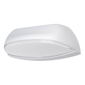 Ledvance - LED-ulkoseinävalaisin ENDURA LED/12W/230V IP44